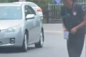 温州伤人猴子事件续：已“抓获”移交动物园看管视频封面