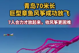 70米长巨型章鱼风筝成功放飞，参与者：收比放更难图片