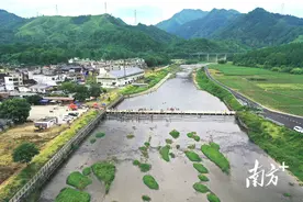 生态绿廊惠民生丨连州3条新碧道建在这些区域→图片