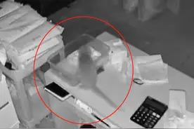 蚂蚁搬家式偷蛋？粮油店遭黄鼠狼“毒手”，店主：一趟趟抱得很稳图片