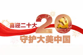 飞越万里，红嘴鸥赶赴一年一度的浪漫之约图片