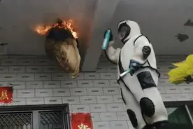 马蜂连续五年在村民家筑20斤巨型蜂窝？专家：和往年应是同一个，马峰蜇人或可致死图片