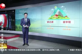 二氧化碳“变废为宝”长兴岛电厂碳捕集装置年底试运行视频封面
