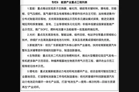 打造新能源汽车产业新高地！佛山出台能源发展“十四五”规划图片