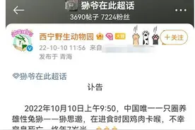 冲上热搜！知名网红“狲思邈”意外死亡……图片