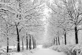 19家厂商38款Q4产品储备：多个大IP压阵，腾讯网易缺席图片