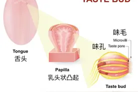 同时吃香蕉和枣，我看到了人生走马灯图片