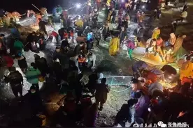 什么原因导致海肠虾蟹聚集烟台海滩？可不单是大风刮来的图片