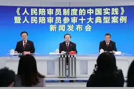 人民陪审员参审十大典型案例图片