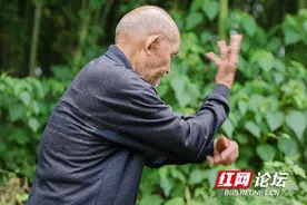 不愧是“武术之乡”！苗乡麻阳：百岁老人能使棍，黄发小儿会打拳图片
