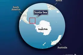 南极洲发现最古老海洋生物DNA，可揭秘百万年海洋生命演变图片