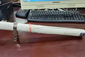 上海六龄童想当特种兵误伤宝马车，妈妈不愿赔，法院这样判图片