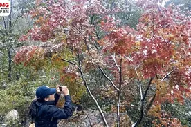 大连加入“下雪群聊”庄河罕见十月飞雪图片