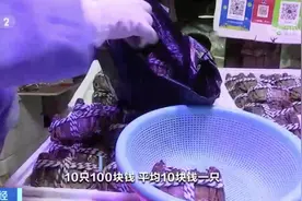 螃蟹便宜了！10只100元？卖得最好的是这种→图片