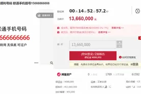 15666666666，无人出价图片