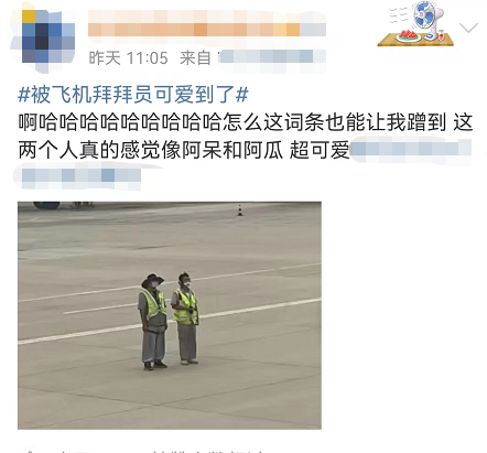 “飞机拜拜员”走红，网友：被可爱到了