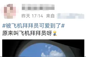 “飞机拜拜员”火了！真实身份曝光，网友：有被可爱到图片