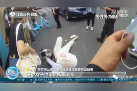 主人遇车祸情绪崩溃，狗狗跳上担架陪护安慰图片