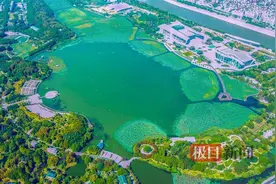 20年治一湖，水环境治理后的月湖要奔向5A级景区图片