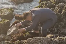 赶海有多诱人？烟台一新郎婚纱照拍到一半去赶海：完全拦不住图片