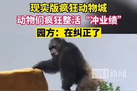 “南宁动物园没有正经动物”冲上热搜，专家揭秘幕后原因图片