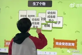 “羊了个羊”被玩出花！济南老师模仿制作“生了个物”，网友：又要睡不着了图片