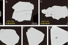 贾丽辉等-AS/AM/JAAS：含铁氧化物微量元素和三价铁电子探针分析技术及应用图片