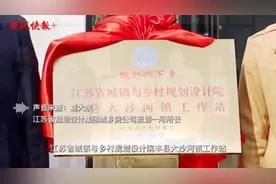 乡村振兴的大沙河经验：规划师下乡的“先手棋”图片