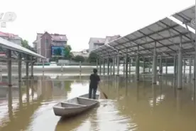 “秋风起 蟹脚肥”兰江蟹批量上市 蟹农塘内套养稳定增收图片