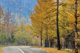 口鼻干、咽干、皮肤干燥？这几种养阴润燥的中药安排上图片