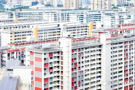 新加坡网红组屋“杜生阁”，是如何集颜值和功能与一体的？图片