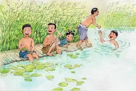 当代散文｜芦苇荡里捉鱼忙图片