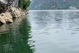 路亚如何操作铁板，快来看看吧图片