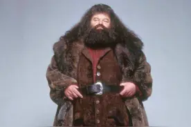 再见，海格老师！《哈利·波特》海格饰演者罗彼·考特拉尼去世，丹尼尔罗琳悼念图片