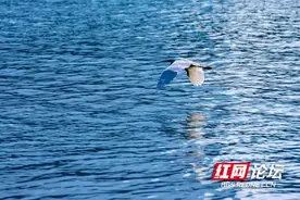 不要不相信，在长沙真的可以看到“海”图片