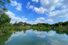 出圈！杭州一地火了，空姐咖啡师，快递小哥烧烤师，不少年轻人转行跑去创业图片