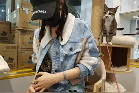 喵喵喵，猫来了！手续齐全，健康免费，想领养小猫的岛城市民看过来→图片