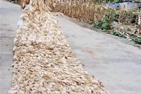 “90后”宝妈用辣椒玉米叶设计服装：食材装扮完还要拿去做饭图片