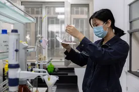 （新华全媒+）探访中央储备粮上海直属库图片