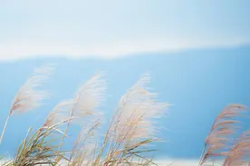 夜读丨有一种幸福，只有自己知道图片