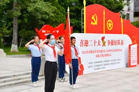 广东河源团组织打造“3+N”专项行动品牌图片