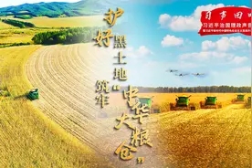 「习声回响」护好黑土地 筑牢“中华大粮仓”图片