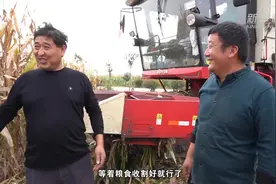 种粮大户陆爱东的秋收故事图片
