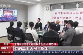 海外华侨华人：祖国十年非凡成就鼓舞人心图片