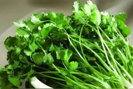 为什么有人讨厌香菜，有人特爱吃？原因是这个图片