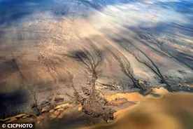 钱塘江入海口现“潮汐树”景观图片