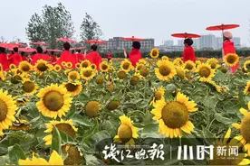 杭州城北这片梦幻花海出圈，阿姨们穿红色旗袍集体打卡图片