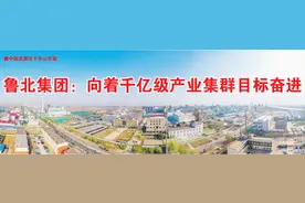 中国发展这十年山东篇丨鲁北集团：向着千亿级产业集群目标奋进图片