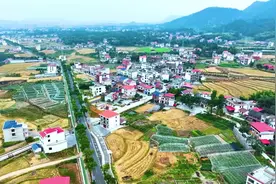 古山村：风起云山拂沃野 文旅花开满眼春图片