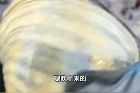 大风又刮来海鲜！回回不重样，这次有人捡到“天鹅蛋”图片